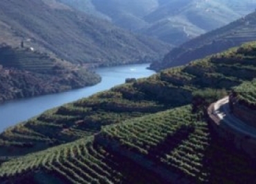 Riflessioni dal Douro