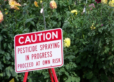 Il Parlamento UE adotta il rapporto sui pesticidi: una vittoria per la salute e l'ambiente